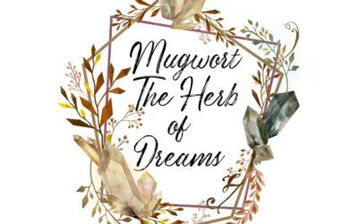 Mugwort – A Seriously Psychic Superhero – Herb of Dreams
